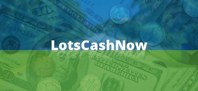 Blog image LotsCashNow | Launching an Online Business for Fast Cash