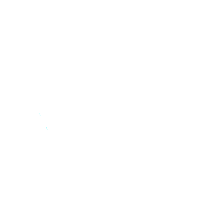 my web lead