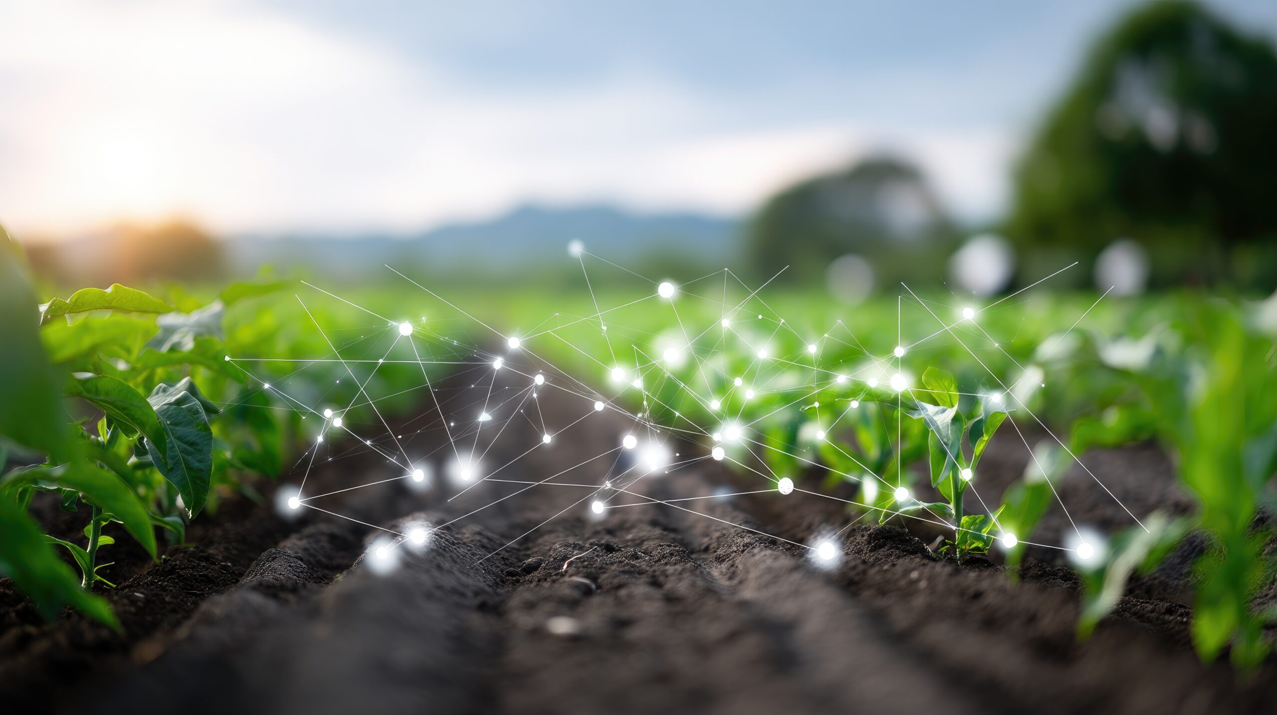 Blog image How AI Is Transforming Marketing Strategies in Agriculture